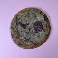 Chocolate Chip