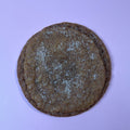 Maple Pumpkin Snickerdoodle